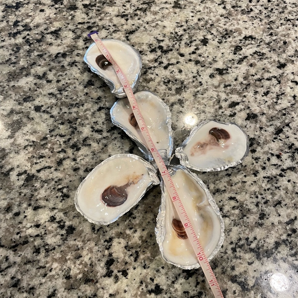 Oyster Shell cross - Picture 6 of 9
